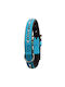 Collar with Artificial Diamonds for Neck 34 to 39 cm Width 16 mm Turquoise