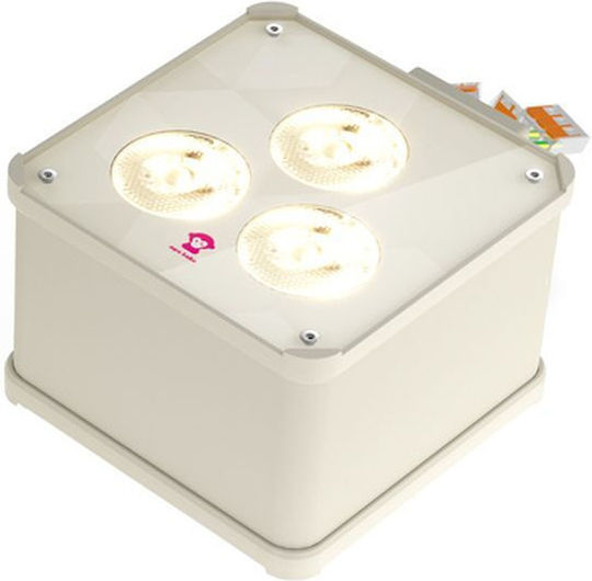 Ape Labs Double Wall Maxi V2 45° Creme