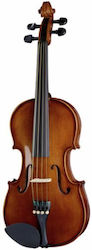 Stentor Student II