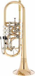 Thomann Classica III GML C- Rotary Τρομπέτα