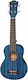 Cascha Premium Soprano Ukulele