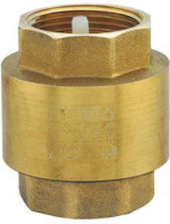 Ferro Check Valve 1” Zz3