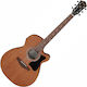 Ibanez Acoustic Guitar Natural / Open Pore