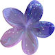Beauty Salon Claw Hair Clip with Multicolour Flower Glass