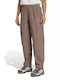 Terrex Xploric Cargo Pants Γυναικείο Υφασμάτινο Cargo Παντελόνι Μπεζ