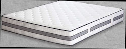Elatirio Strom Classic Latex Plus 25 Cm Elatirio Strom Classic Latex Plus 25 Cm