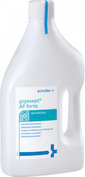 Schulke Ειδικό Καθαριστικό για Απολύμανση Gigasept Af Forte 2lt Schulke Ειδικό Καθαριστικό για Απολύμανση Gigasept Af Forte 2lt