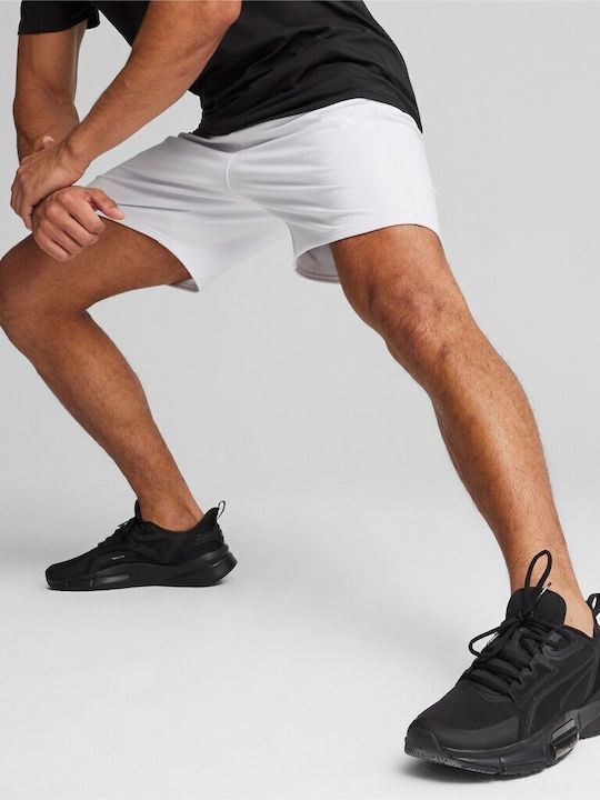 PUMA