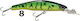 Bullbat Crazy Fighter 6.5cm 7g 08