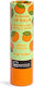 IDC Institute Lippenpflege Mango Balsam 3,5 g