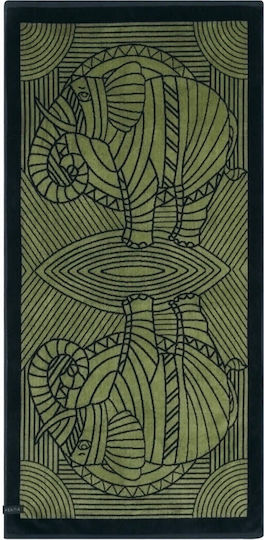 Kentia Elefani