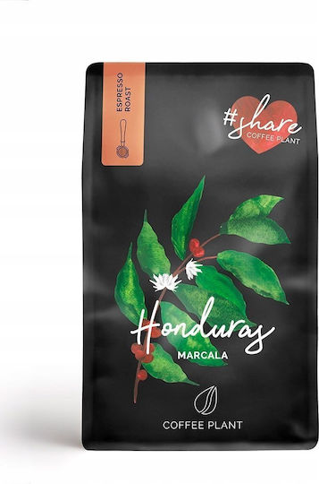 Coffee Plant Cafea Espresso Arabica Honduras Boabe 250gr