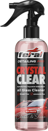 Feral Detailing Pro Καθαριστικό Σπρέι Τζαμιών Αυτοκινήτου 750ml