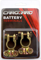 Car Battery Terminal Set Copper