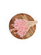 Lagurus Dried Bunny Tails 100 Gr Pink