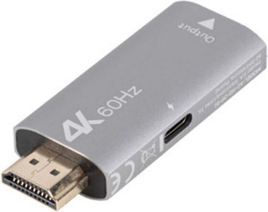 Lanberg Converter DisplayPort / HDMI male to DisplayPort female Silver 1pcs AD-HD-DP-01