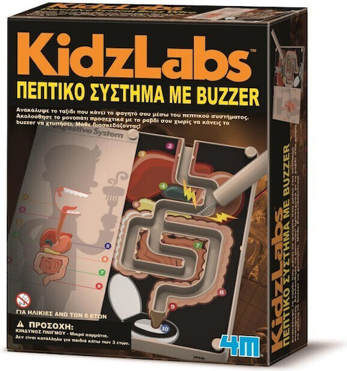 4M Επιστήμη Πεπτικο Συστημα Buzzer Образователна Игра Образователни