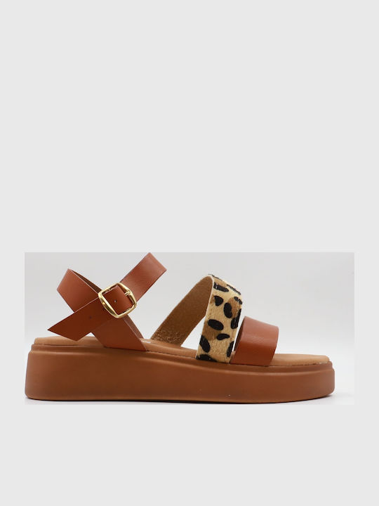 Gshoes