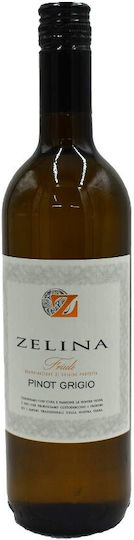 Anselmi Zelina Pinot Grigio Friuli Dop 750ml 12.5% Ιταλια