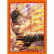 Bandai Spirits One Piece One Piece Card Sleeves...