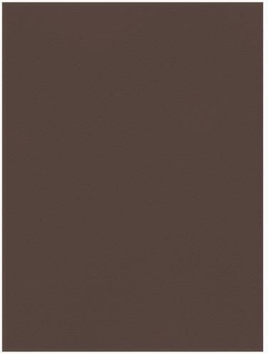 Χαρτονι Favini 50 X 70cm 220gr Caffe 13