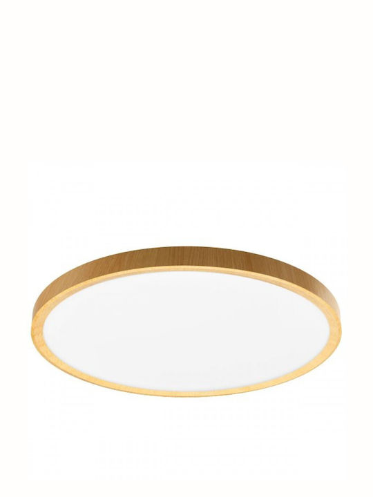 Spot Light Πλαφονιέρα 23εκ. LED