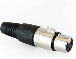 Xlr Female Connector 3fm Master Audio