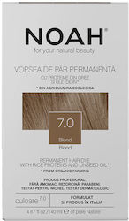 Noah for Beauty Permanent Hair Colour