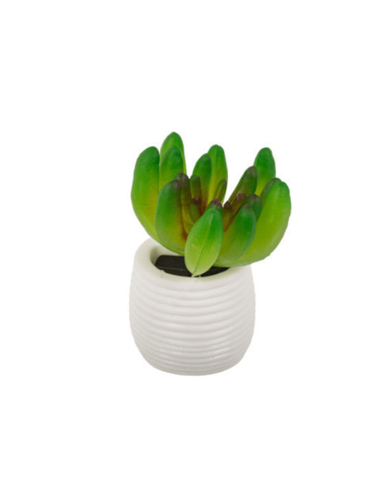 Magnet Succulent Plant White Pot 3 x 5 cm