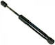 Kofferraum-Schock Mazda RX-8 03-12 Fe1556930c Gbg Parts