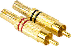 Master Audio Ma266 Gold Männlich Rca Stecker