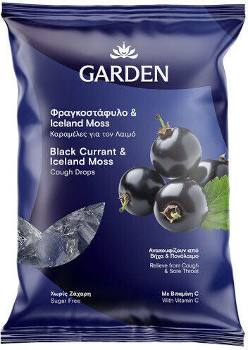Garden Black Currant & Iceland Moss Σταγόνες για Παιδιά για Ξηρό Βήχα Χωρίς Ζάχαρη & Γλουτένη 60gr