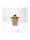 Eurolamp Dekorative Vase Keramik Grün Ø21,5xH26,5 cm