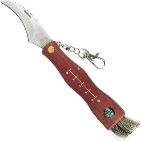 Sck Mushrooms Cc-gc105 Pilzsucher-Messer Kompass Braune