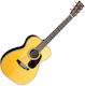 Martin Acoustic Guitar Standard Series Natural
