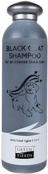 Greenfields Schwarzes Coat Shampoo 270ml Greenfields Schwarzes Coat Shampoo 270ml