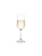 Cristar Set of Glasses Champagne made of Glass Stemmed 247ml 6pcs