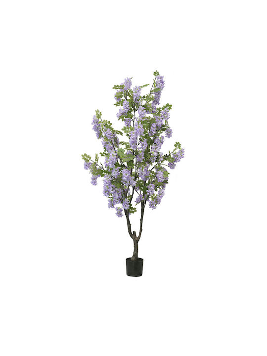 Copac Lila Liliac Ghiveci Înălțime 190cm 2/bax