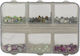 Beauty Salon Nail Strass Colors 6 Slots Case
