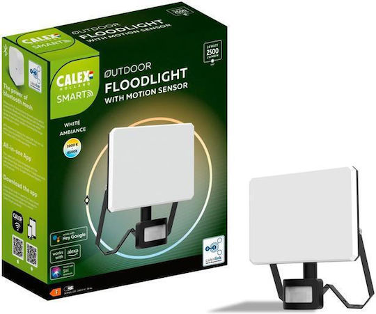 Calex Wasserdichter LED Flutlichter 24W mit Bewegungssensor und Fernbedienung IP65