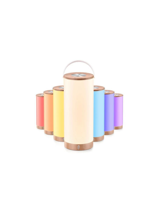 TaoTronics Διακοσμητικό Φωτιστικό TT-DL23 LED RGB Φαναράκι 11x11x27.3εκ.