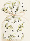 Beauty Home Pouch Base 8 X 12 Cm Small Olives White Background 140 Cm