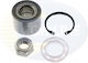 Rear Wheel Bearing Set Renault Cbk045