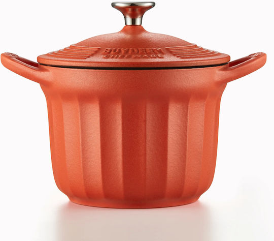 Buydeem Deep Pot made of Cast Iron 1.8lt / 23.8cm