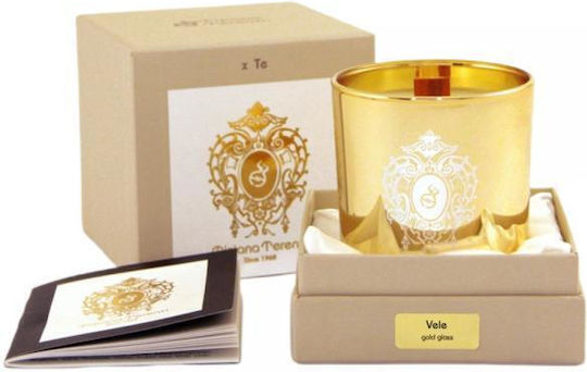Tiziana Terenzi Dekorative Kerze im Gold Gefäß 170g