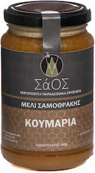 Μέλι Κουμαριάς 480gr
