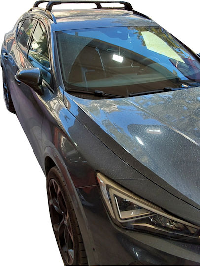 Nordrive pentru Citroen Experiența utilizatorului 2020+ (Set cu picioare)
