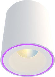 Calex Plafonieră LED Calex Plafonieră LED