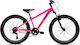 Capriolo 24" Kids Mountain Bike (2025) Pink