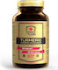 Immune-Labs Turmeric + Piperine 120 капси